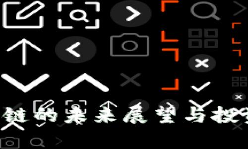 Dot币区块链的未来展望与投资潜力分析