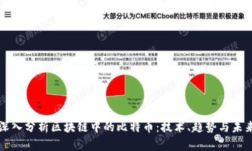 深入分析区块链中的比特币：技术、趋势与未来