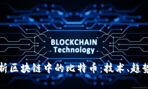 深入分析区块链中的比特币：技术、趋势与未来
