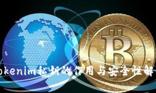 Tokenim私钥的作用与安全性解析