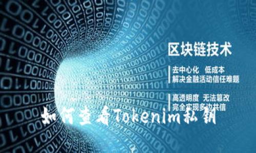 如何查看Tokenim私钥