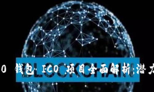 Tokenim 2.0 钱包 ICO 项目全面解析：潜力与前景分析