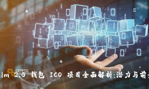 Tokenim 2.0 钱包 ICO 项目全面解析：潜力与前景分析