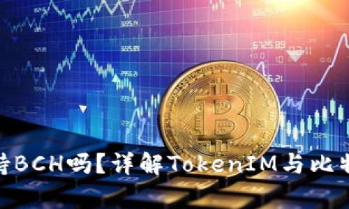 TokenIM 2.0支持BCH吗？详解TokenIM与比特币现金的兼容性