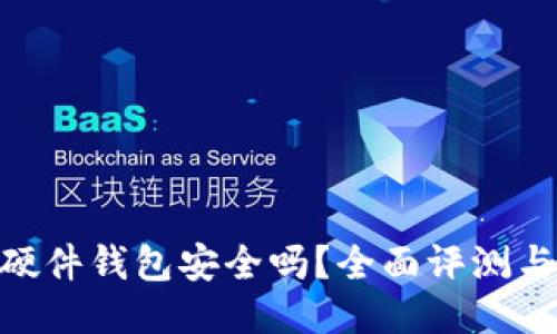 Tokenim硬件钱包安全吗？全面评测与使用指南