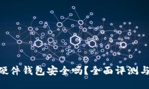 Tokenim硬件钱包安全吗？全面评测与使用指南
