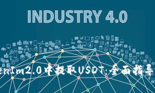 如何在TokenIm2.0中提取USDT：全面指导与注意事项