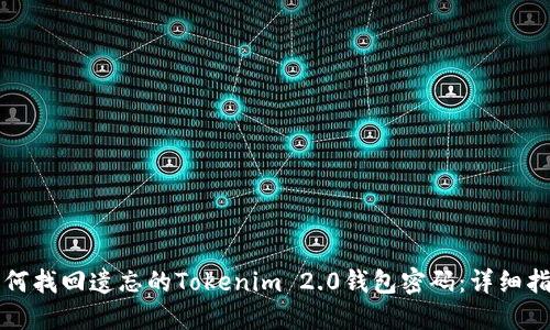 如何找回遗忘的Tokenim 2.0钱包密码：详细指南