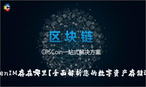 TokenIM存在哪里？全面解析您的数字资产存储选择