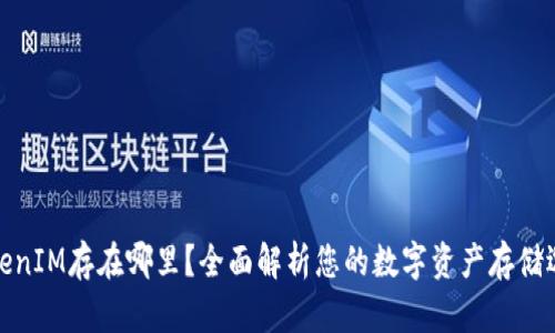 TokenIM存在哪里？全面解析您的数字资产存储选择