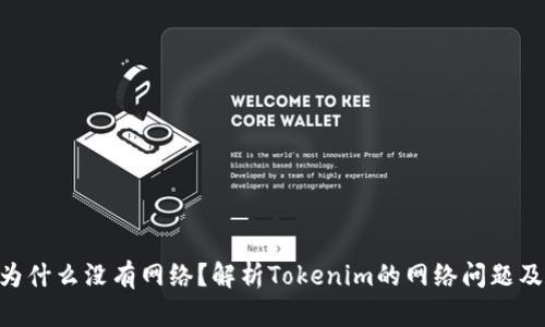 Tokenim为什么没有网络？解析Tokenim的网络问题及解决方案
