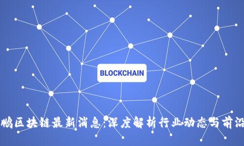 王大鹏区块链最新消息：深度解析行业动态与前沿技术