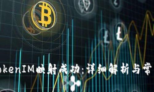 如何判断TokenIM映射成功：详细解析与常见问题解答