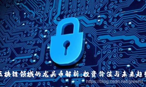 区块链领域的龙头币解析：投资价值与未来趋势