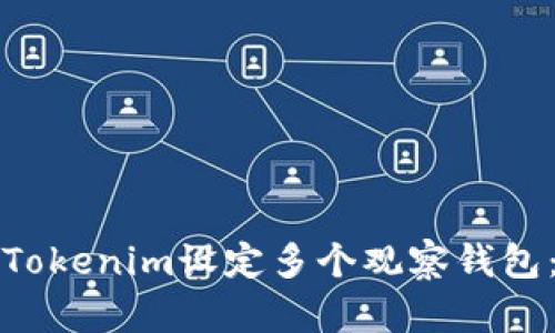 如何使用Tokenim设定多个观察钱包：详细指南