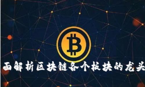 全面解析区块链各个板块的龙头币