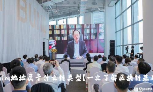Tokenim地址属于什么链类型？一文了解区块链基础知识
